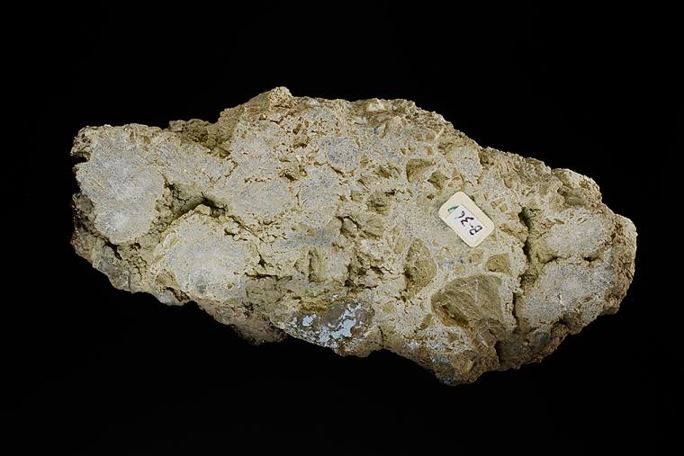 COLEMANITE